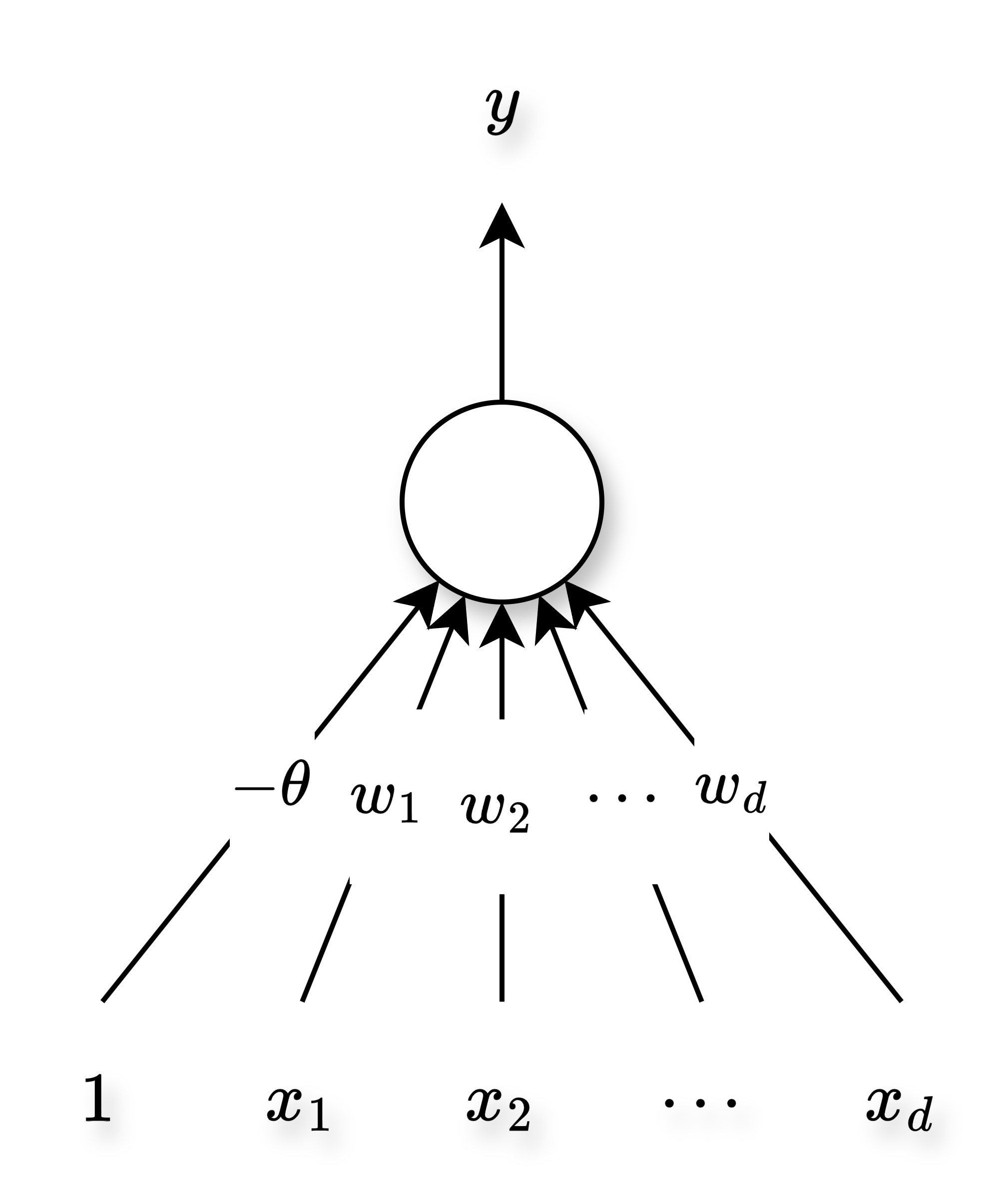 A general perceptron.