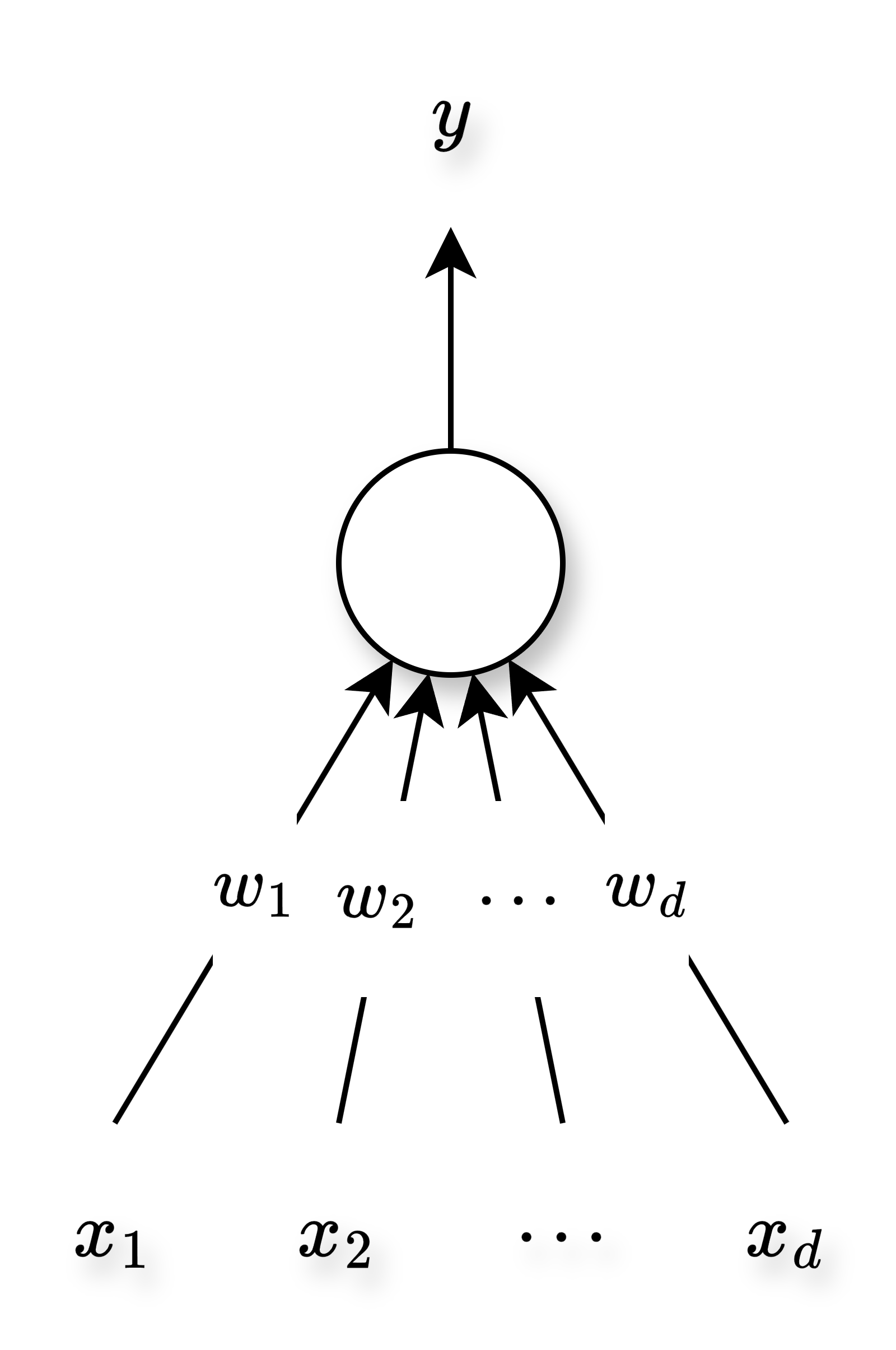 A general perceptron without bias.