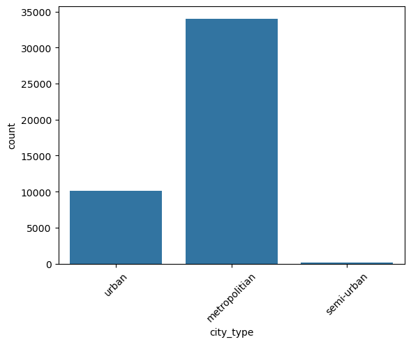 Bar plot of the count of values in the column city_type.