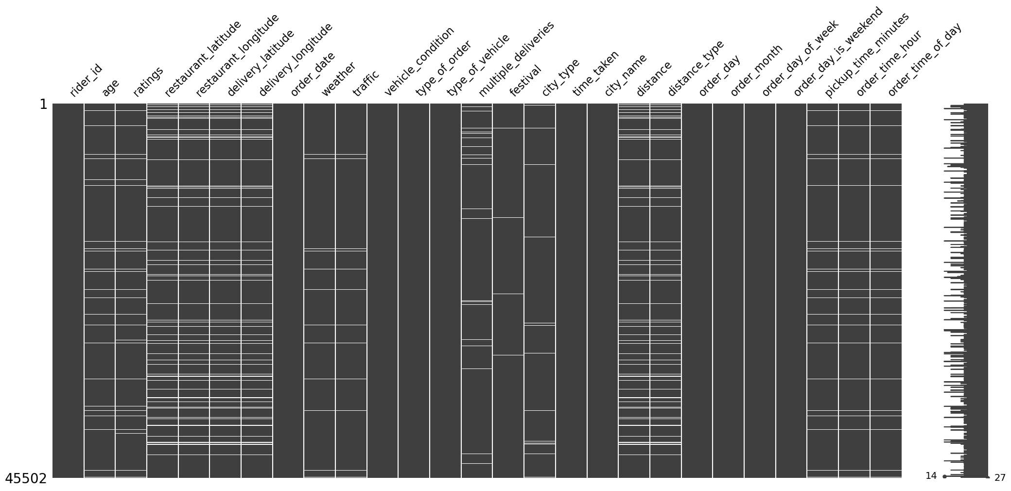 Matrix of missing values for visualization after data cleaning.